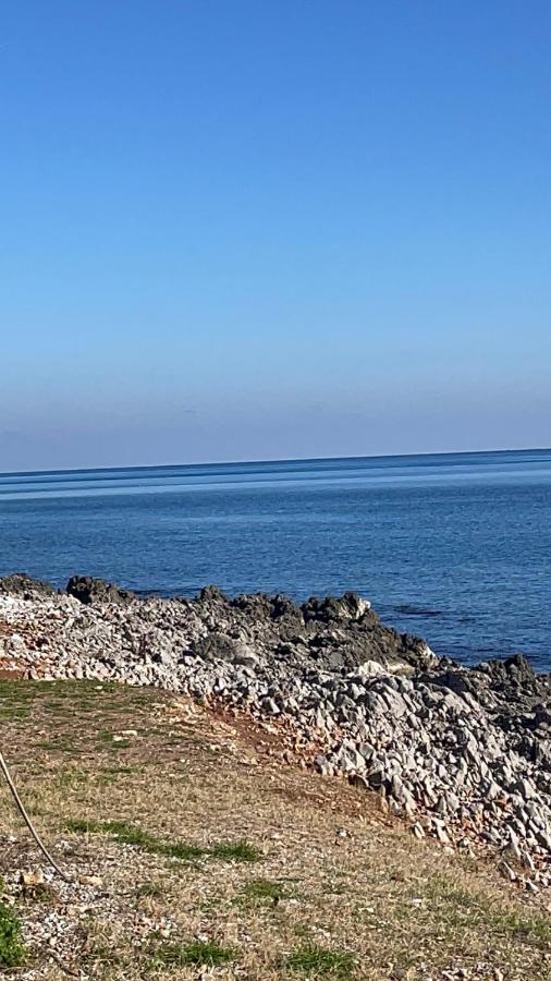 Casa Vacanze Antico Cortile Delle Palme Βίλα Villagrazia Di Carini Εξωτερικό φωτογραφία